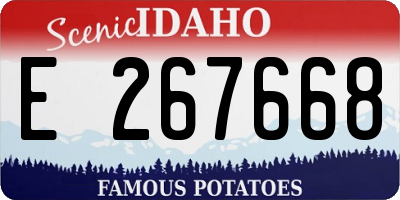 ID license plate E267668