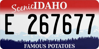 ID license plate E267677