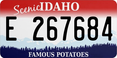ID license plate E267684