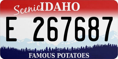 ID license plate E267687