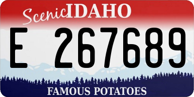 ID license plate E267689