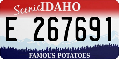 ID license plate E267691