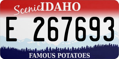 ID license plate E267693