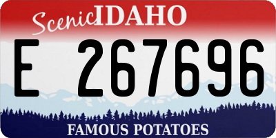 ID license plate E267696