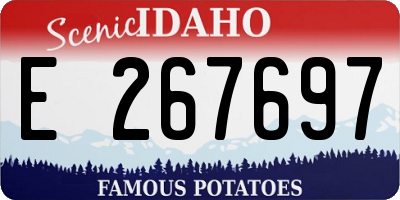 ID license plate E267697