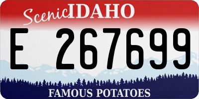 ID license plate E267699