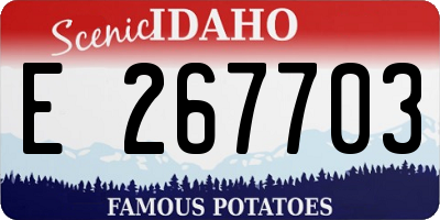 ID license plate E267703