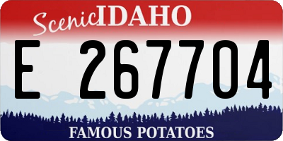 ID license plate E267704