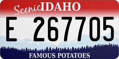ID license plate E267705