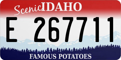 ID license plate E267711