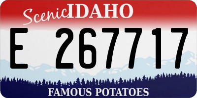 ID license plate E267717