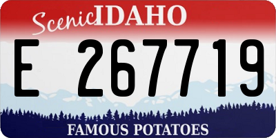 ID license plate E267719