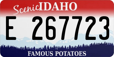 ID license plate E267723