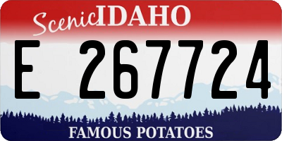 ID license plate E267724