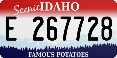 ID license plate E267728