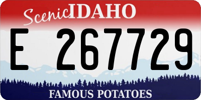 ID license plate E267729