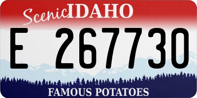 ID license plate E267730