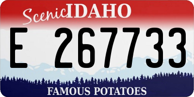 ID license plate E267733