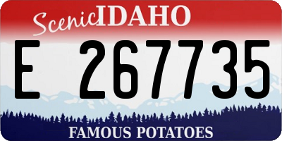 ID license plate E267735