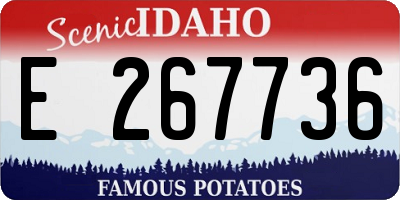 ID license plate E267736