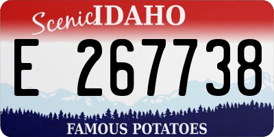 ID license plate E267738