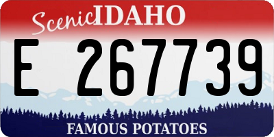 ID license plate E267739