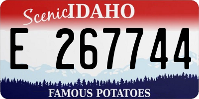 ID license plate E267744