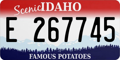 ID license plate E267745