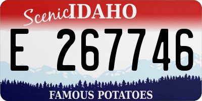 ID license plate E267746