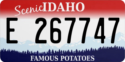 ID license plate E267747