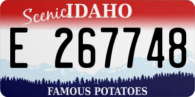 ID license plate E267748