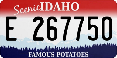 ID license plate E267750