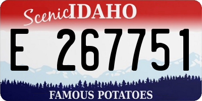 ID license plate E267751