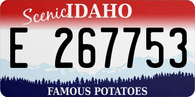 ID license plate E267753