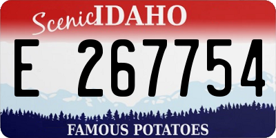 ID license plate E267754