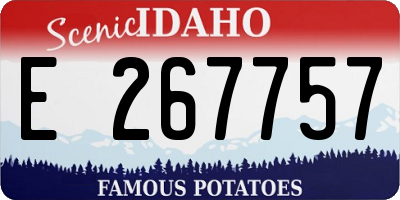 ID license plate E267757