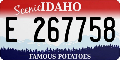 ID license plate E267758