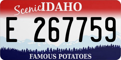 ID license plate E267759