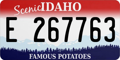 ID license plate E267763