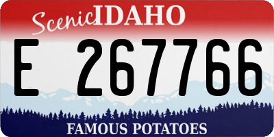 ID license plate E267766
