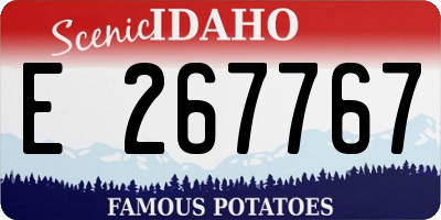 ID license plate E267767