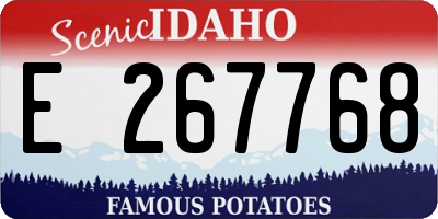 ID license plate E267768