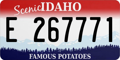 ID license plate E267771