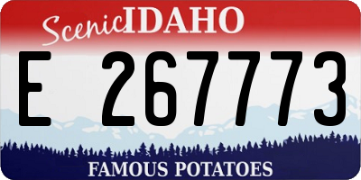 ID license plate E267773