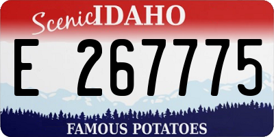 ID license plate E267775