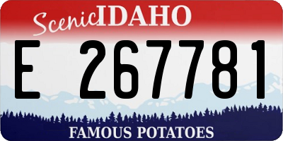 ID license plate E267781