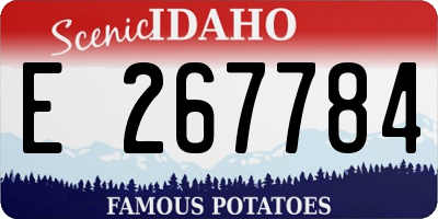 ID license plate E267784