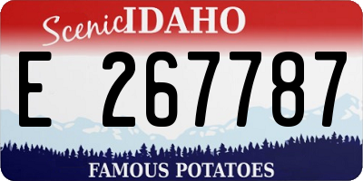 ID license plate E267787