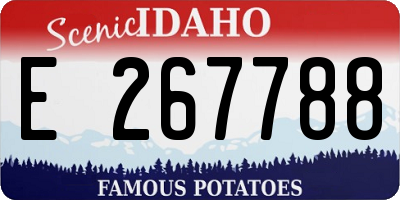 ID license plate E267788