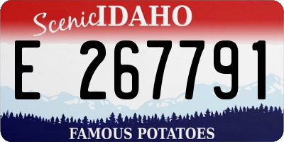 ID license plate E267791